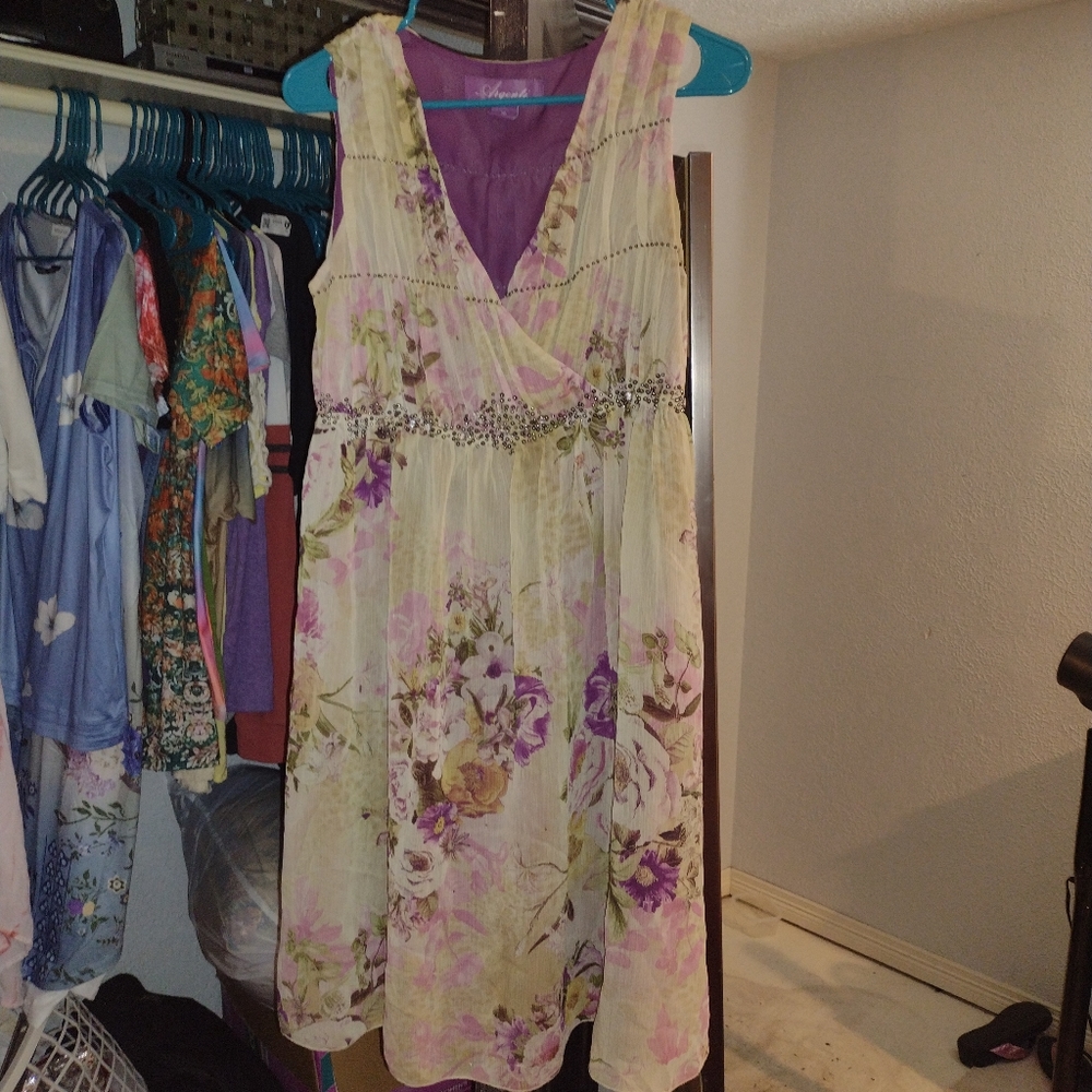 Vintage Argenti Ladies Dress